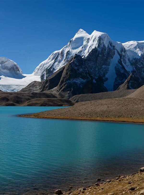 Gurudongmar Lake in North Sikkim featuring stunning turquoise waters against dramatic snow-capped Himalayan peaks. One of India's highest lakes at over 17,000 feet elevation, surrounded by arid brown terrain and dominated by pristine white mountain summits under clear blue skies. Sacred site offering breathtaking panoramic views of the remote North Sikkim landscape, popular with adventure travelers and spiritual pilgrims visiting the Eastern Himalayas.