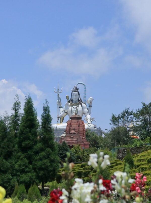 Towering Lord Shiva statue at Solophok Chardham in Namchi, South Sikkim, rising majestically above lush green terraced gardens. The massive white marble deity holding trident stands on a rust-colored temple base, surrounded by vibrant flowers, coniferous trees, and manicured hillside landscaping. This prominent Hindu pilgrimage site in Sikkim offers panoramic views under bright blue skies, attracting spiritual seekers and tourists to one of Northeast India's most significant religious landmarks