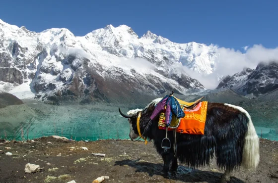 About Sikkim