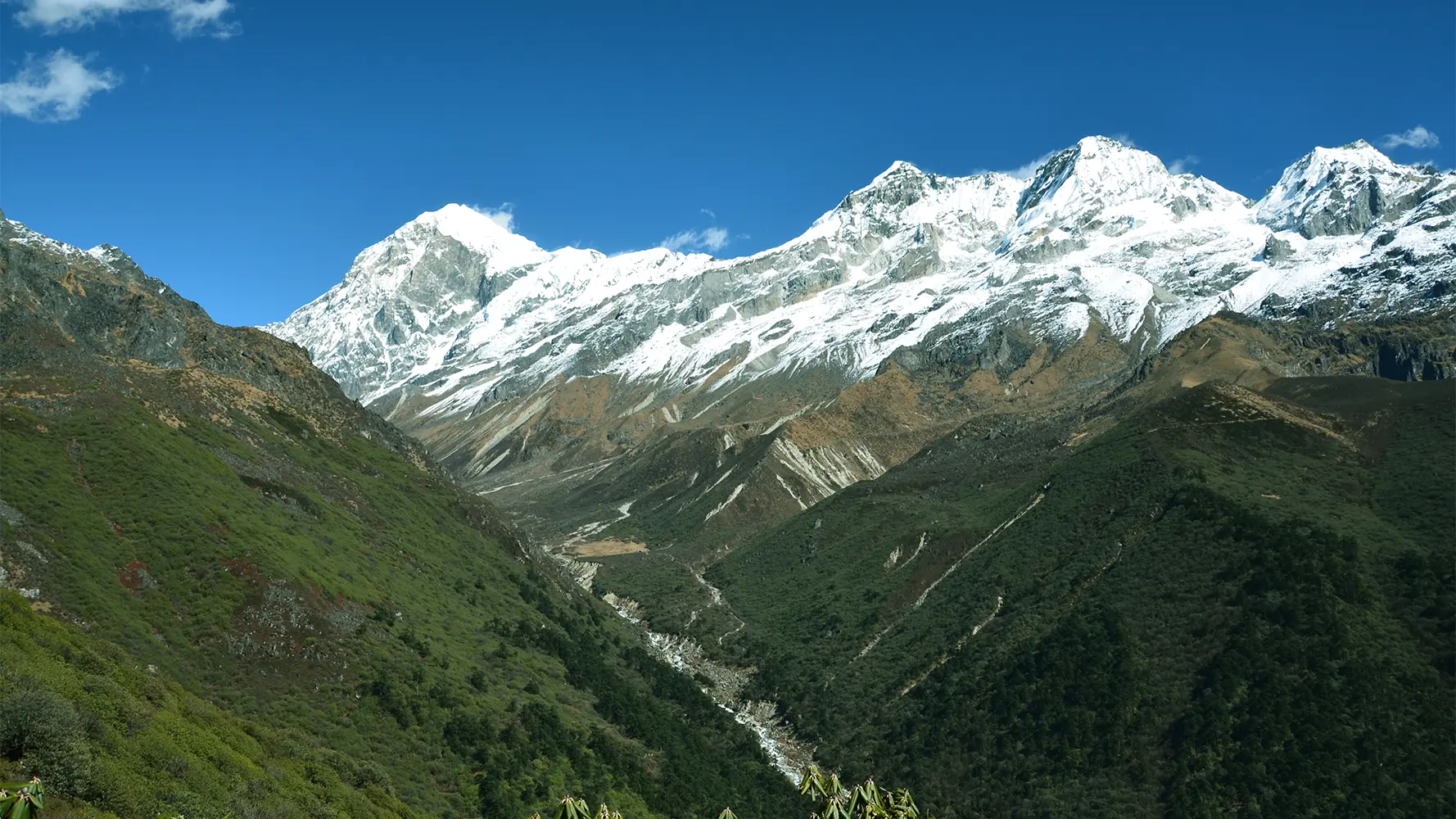 Snow-covered Pandim and Tenzing Khang peaks above the Kokchurung River valley on the Goechala Trek route near Lamuney campsite, Sikkim.
